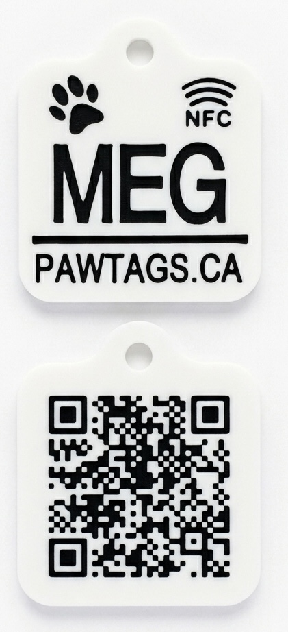 Meg — white tag