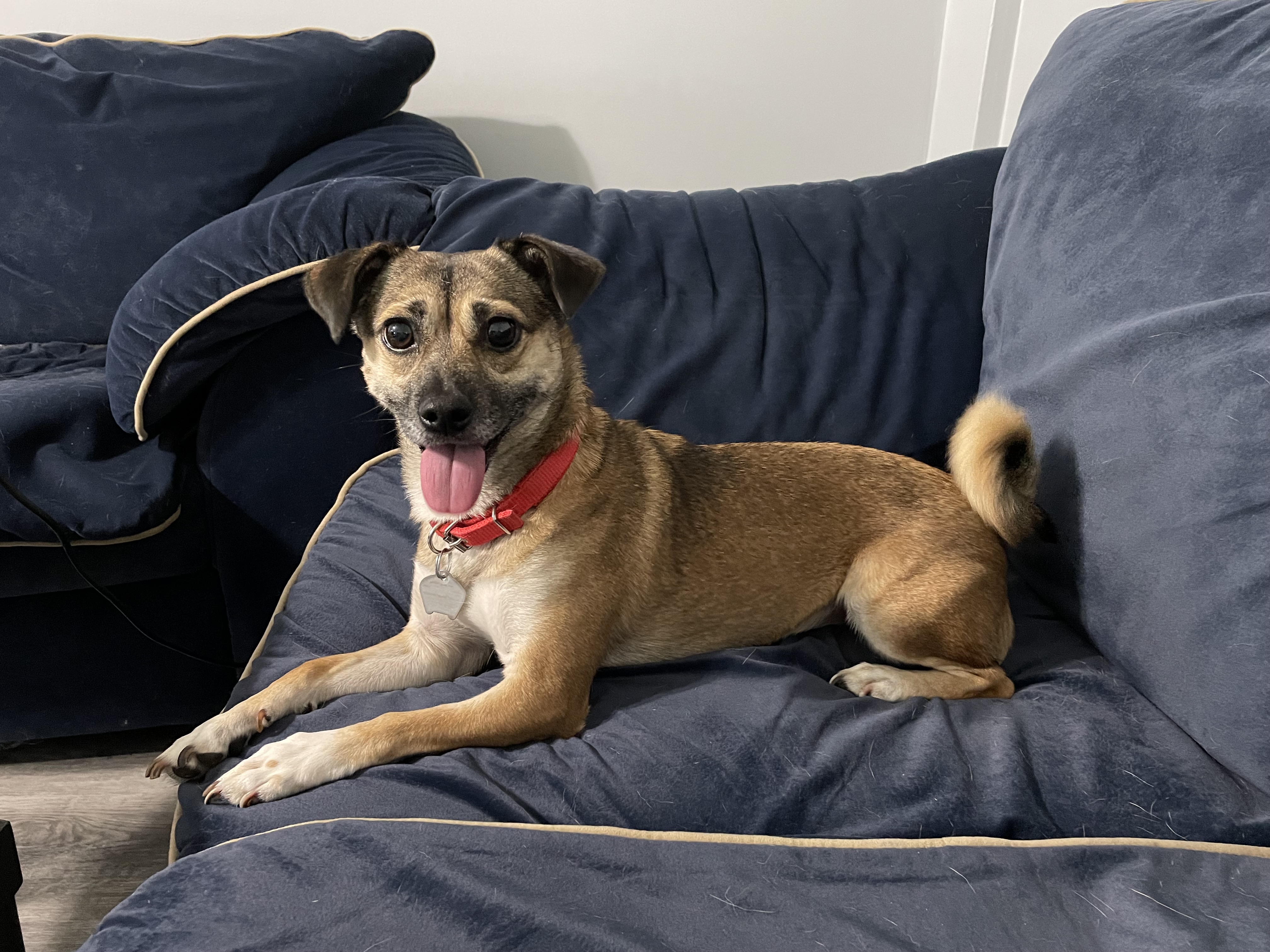 Buddy's photo